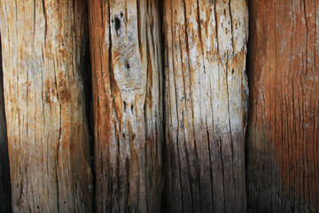 Wood texture. Old log wood a part of the trunk or a large branch of a tree were lined to make the wall.