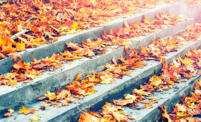 Autumn leaves on the steps. Piles of autumn leaves accumulate on steps - background image