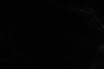 Abstract black marble background with natural motifs.