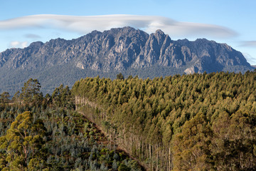 Mount Roland Tasmania