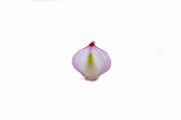onion isolated on white background
