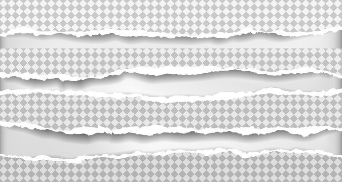 Piece of torn, squared paper strips with soft shadow are on grey background. Vector illustration