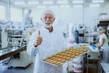 Portrait of senior adult food plant worker in sterile white uniform holding tray with cookies and giving thumbs up. Food plant interior.