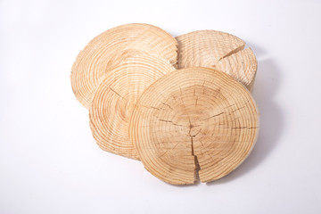 Cross section of tree trunk isolated. tree rings