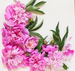 angular composition of peony flowers and green leaves on a white background