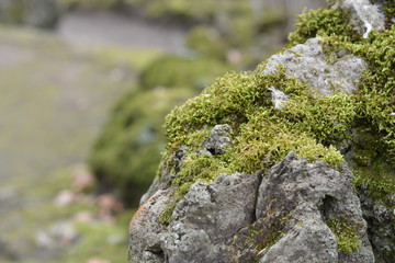 Schöne Natur
