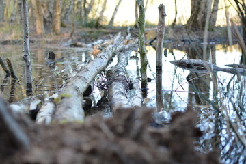 Schöne Natur