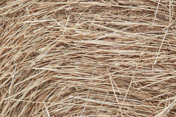 Hay abstract background close up. Straw on the floor background