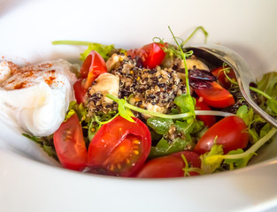 Tomato salad with herbs, mayonnaise and mushrooms in a snow-white plate.