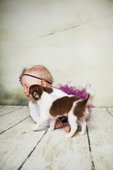 Welpe leckt das Baby ab