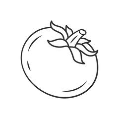 Tomato linear icon