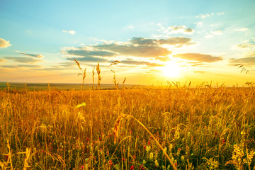 Saratov region, travel, landscape and nature of Russia. Yellow golden orange dramatic dawn at dawn...