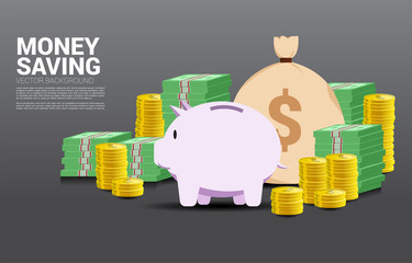 stack of coin and banknote with money bag and piggy bank. Concept of success investment and money saving.