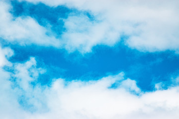 fresh day with blue sky