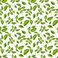 Seamless pattern of green leaves on the white background. Painted of markers. Endless elements for your greeting cards, textile, design, wedding announcements. 