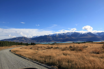 calmly on the road and field grass with mountain and blue sky background