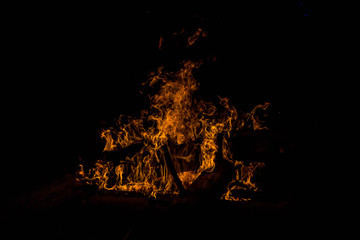 bright orange languages of a fire on wooden logs at night. wood on fire. bonfire at night. campfire. beautiful flame on black background. fire on black background. burning wood . beautiful fire textur