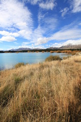Obraz premium dry grass near the lake with mountain and blue sky background