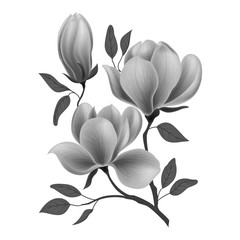 Beautiful background with twig blooming Magnolia. Vector illustration. EPS 10