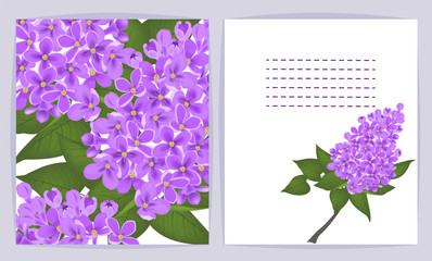 Beautiful background with flowers Lilac and space for text. Vector illustration. EPS 10