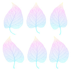 Set colored leaves on white. Vector illustration. EPS 10.