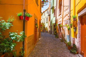 Fototapeta na wymiar Colorful houses in the alleys of the town of Bosa in Sardinia in sunlight in spring