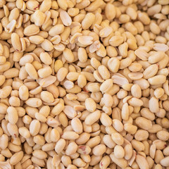 Flat lay and close up photo of raw peanuts. Sqaure ratio.