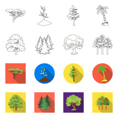 Vector design of tree and forest icon. Set of tree and green vector icon for stock.