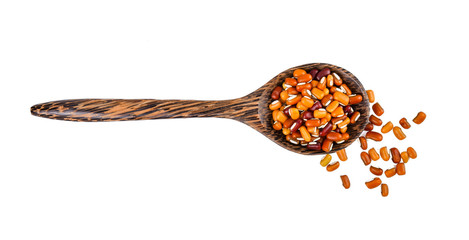 beans seed in wood spoon isolated on white background