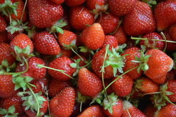  strawberry many summer berry taps