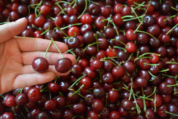cherry many berry summer market