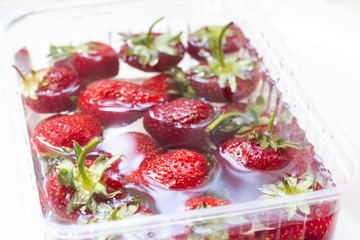Strawberries in a bowl of water. Red berries. Seasonal berries in the water.