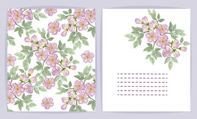 Beautiful background with spring flowers and space for text. Vector illustration. EPS 10