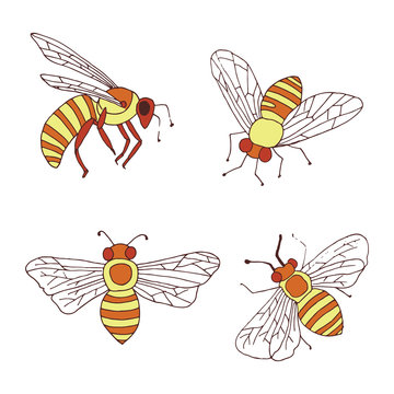 Honey Bees Vector Elements Set