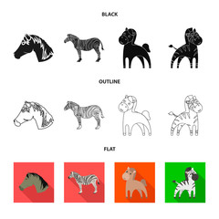 Vector illustration of trot and running logo. Set of trot and clipart vector icon for stock.