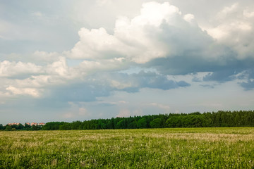 Beautiful landscape. Green field and cloudy sky. Central Russia. Moscow region