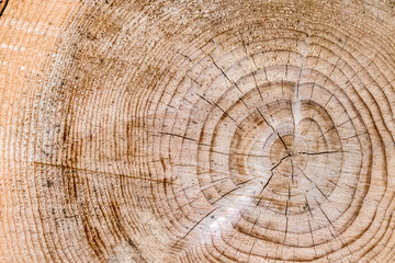 Fototapeta premium 材木