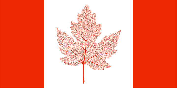Flag of Canada.Vector illustration .