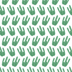 exotics cactus plants natural pattern