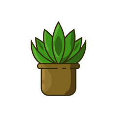 indoor plant color vector icon on white background