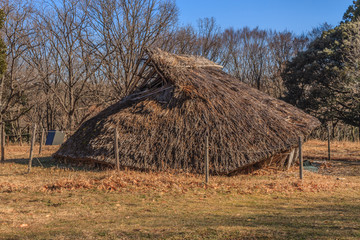 冬の加曽利貝塚の復元された住居