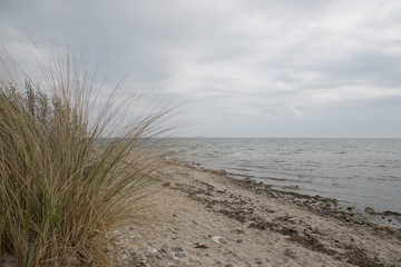 Fototapeta na wymiar Ostsee / Baltic Sea