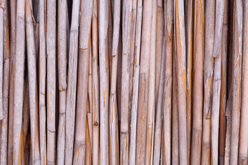 Different perspectives of a reed fence.