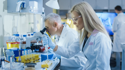 Shot of a Female Genetic Research Scientist Using a Micro Pipette While Working with Her Colleagues in a Modern High-Tech Laboratory.