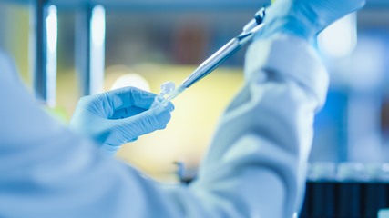 Close-up Shot of a Research Scientist using a Micro Pipette in a Modern Genetic Laboratory.