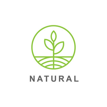 Green leaves and root sprout  logo vector illustration