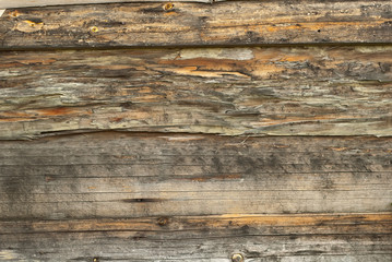 Obraz premium Old distorted boards in a row on the wall. Texture of natural rough boards.