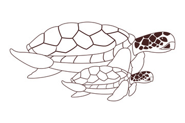 two sea turtle icon cartoon in black and white