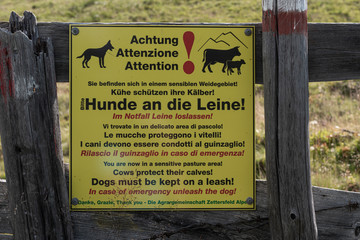 yellow warning signs Dogs must be kept on the leash! fastened on wooden fence, blue sky, green meadow