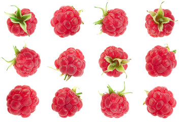 Mini raspberry fruit collection